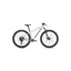 Specialized Rockhopper Expert Mountain Bike in Silver/Burnt Gold