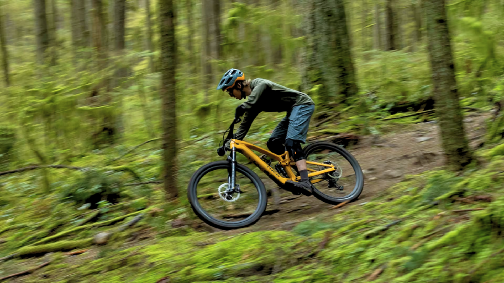Electric Mountain Bikes Full Suspension